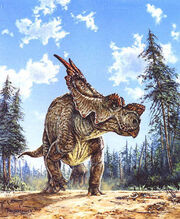 Achelousaurus
