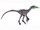 Saurornithoides