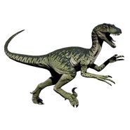 Novaraptor