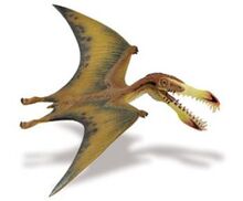 Tropeognathus