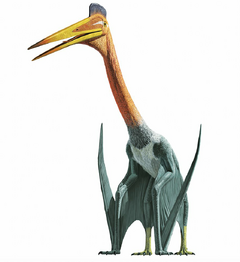 Cartoon Pterodactyl  Giant Pterosaur of the prehistoric skies!