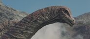 Puertasaurus