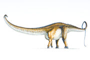 Barosaurus.jpg