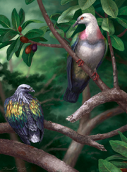 Tongoenas burleyi and Kanaka pigeon restoration