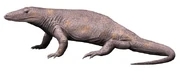 Life reconstruction of Varanosaurus