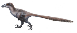 Deinonychus, Dinopedia