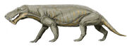 Gorgonops whaitsii1