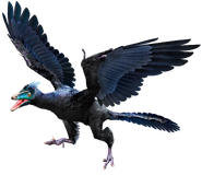 3D model of Archaeopteryx