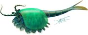 Chuandianella life reconstruction