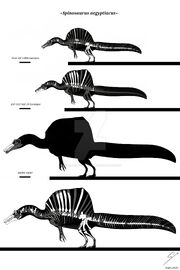 Spinosaurus aegyptiacus Specimens Listed
