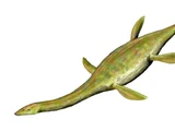 Sauropterygia
