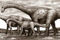 Brazillian-Titanosaur 9C4383CB-CDD4-4A94-9E40D26415A93656