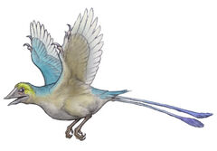 Confuciusornis