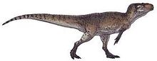 Yuangyanosaurus