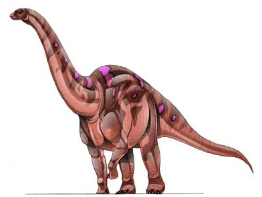 Epachthosaurus | Dinopedia | Fandom