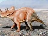 Tatankaceratops