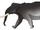 Dwarf Sicilian Elephant