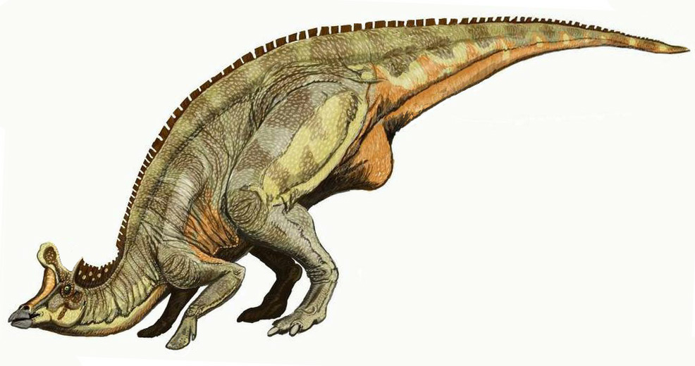 Insights and Sounds: Animal Kingdom's Extinct Dino