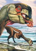 Conchoraptor web