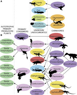 Jiufotang food web