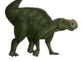 Latirhinus