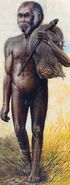 Homo floresiensis.