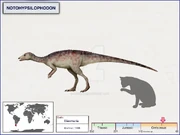 Notohypsilophodon Size