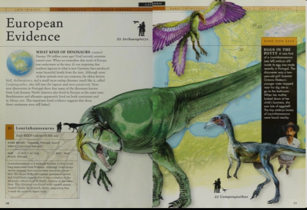 Lourinhanosaurus Dinopedia Fandom