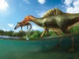Vallibonavenatrix