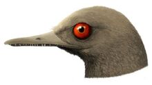 Bird dinosaur.jpg