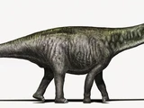 Brontosaurus