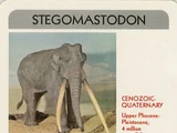 Stegomastodon