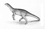Euskelosaurus