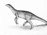Euskelosaurus