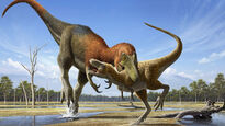 Image 12584e-Nanotyrannus