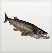 20200501 130247.jpg (70 KB)