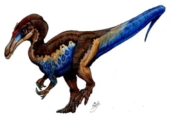 Baryonyx full body illustration