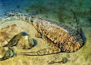 Art of Bothriolepis on the sea floor.