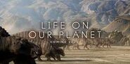 Herd of ornithopods as seen in trailer