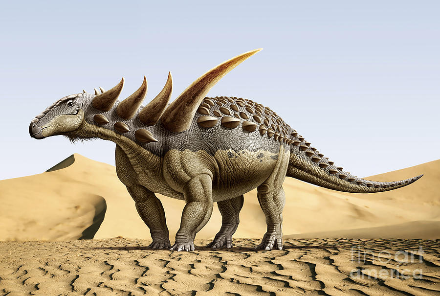 sauropelta