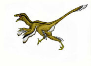 370 dromaeosaurus durbed