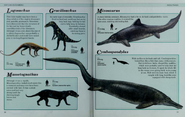 Lagosuchus, Gracilisuchus, Massetognathus, Mixosaurus, Cymbospondylus