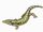 Solenodonsaurus