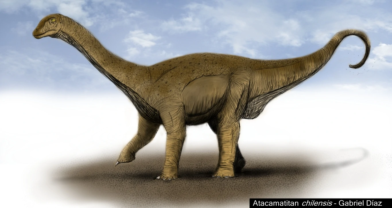 Um gigante chileno: Atacamaticán, um dinossauro herbíforo