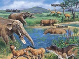 Cenozoic Era