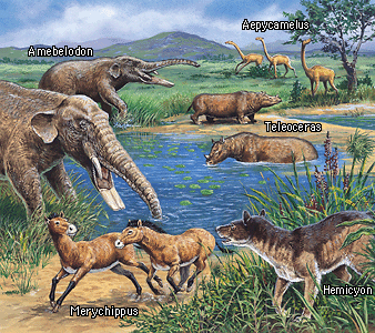 early cenozoic era