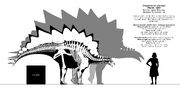 StegosaurusSizeEstimate