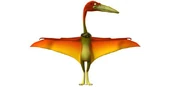 Zhejiangopterus on dinosaur train