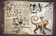 800px-Mesopithecus Dossier.jpg (120 KB) Ark: Survival Evolved Mesopithecus