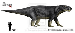 Broomisaurus planiceps.